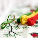 Beginner Embroidery Stitch Practice Kit